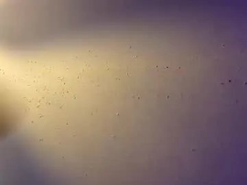 lildman420 on Chaturbate 